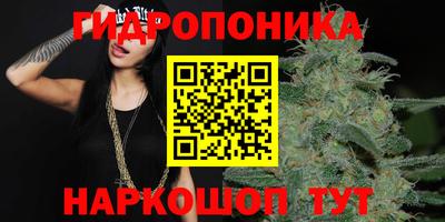 кокс Кимры