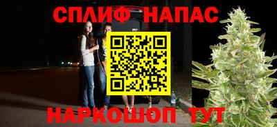 прущие грибы Азнакаево