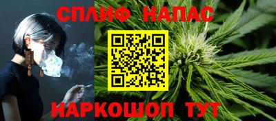 индика Кинель