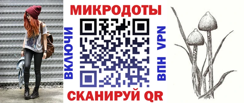 Галлюциногенные грибы мухоморы  нарко площадка наркотические препараты  Рассказово  omg ссылки 