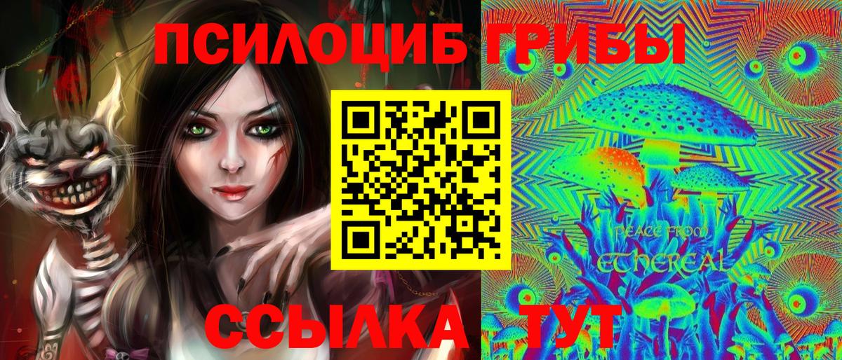 Галлюциногенные грибы мицелий Рассказово
