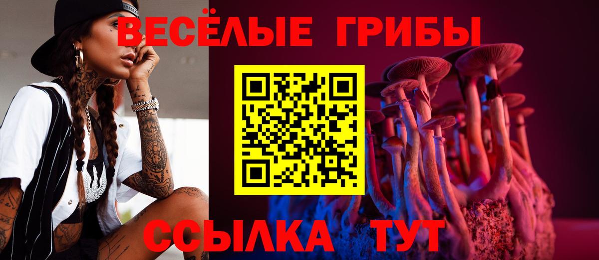 А ПВП Рассказово