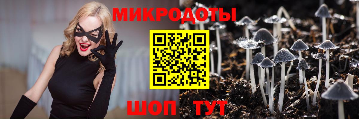 Рассказово  Галлюциногенные грибы Cubensis  Вход с VPN 