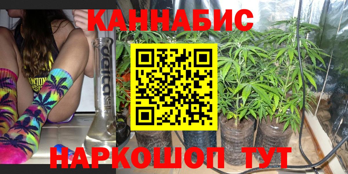 Канабис OG Kush Рассказово